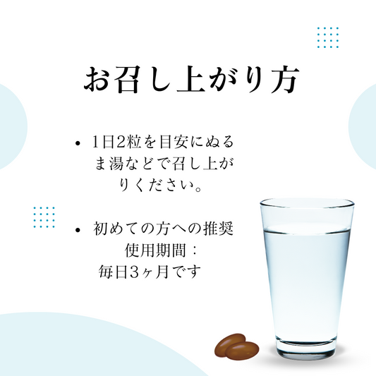 腸活習慣｜35株高活性乳酸菌天然発酵エキス（ポストバイオティクス）配合｜60粒入
