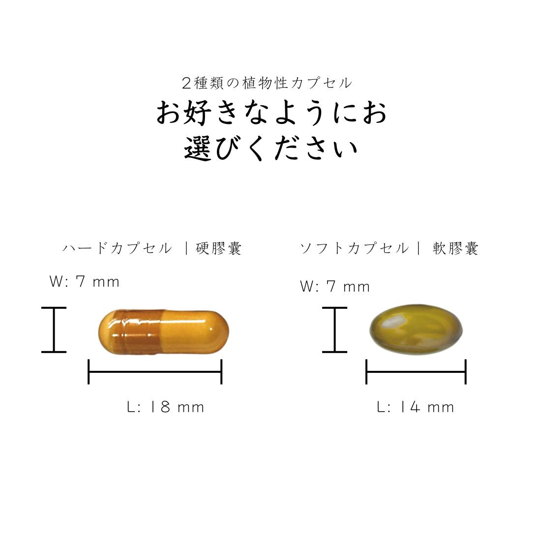 善玉菌の素 製品シリーズ – FRESHLITE 日本 No.1 天然発酵ポストバイオ